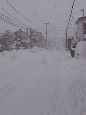 f:id:elmikamino:20070125145009j:image