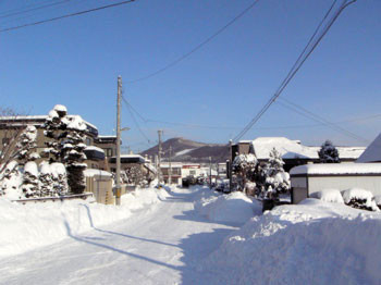 f:id:elmikamino:20070126134817j:image