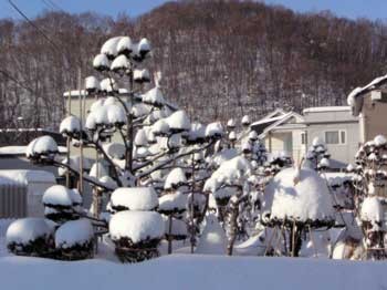 f:id:elmikamino:20070126134901j:image
