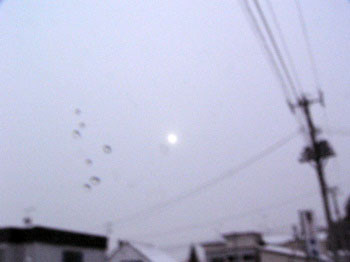 f:id:elmikamino:20070127121320j:image