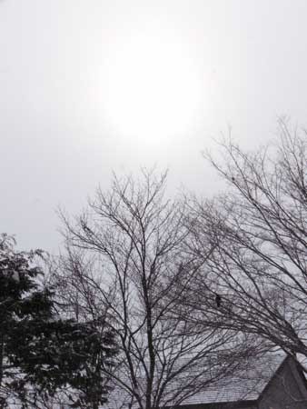f:id:elmikamino:20070127121622j:image
