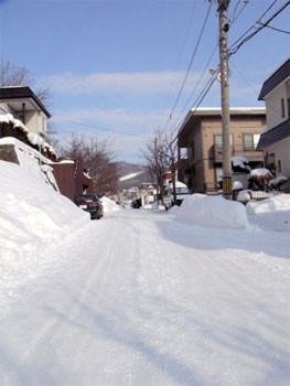 f:id:elmikamino:20070128114912j:image