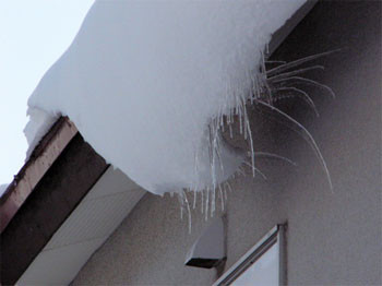 f:id:elmikamino:20070128115101j:image