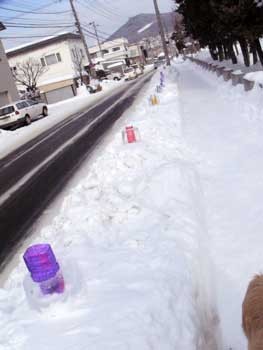 f:id:elmikamino:20070128115304j:image