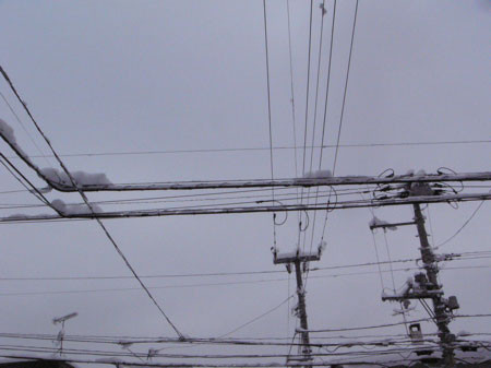 f:id:elmikamino:20070130144235j:image