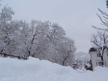 f:id:elmikamino:20070130144333j:image