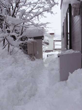 f:id:elmikamino:20070130144723j:image