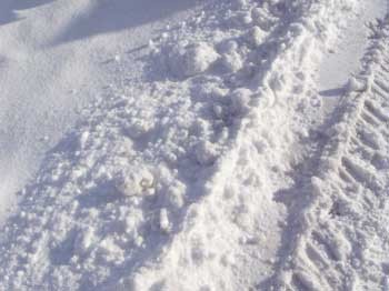 f:id:elmikamino:20070203221123j:image