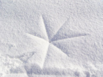 f:id:elmikamino:20070203221243j:image