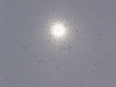 f:id:elmikamino:20070204135900j:image