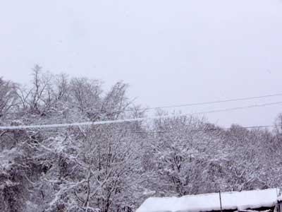 f:id:elmikamino:20070207115902j:image