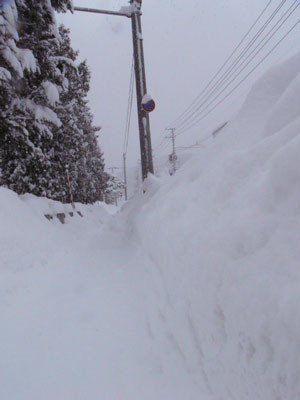 f:id:elmikamino:20070207120057j:image