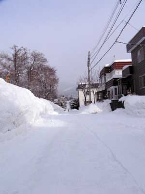 f:id:elmikamino:20070212121236j:image