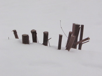 f:id:elmikamino:20070218094435j:image