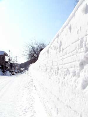 f:id:elmikamino:20070222112150j:image
