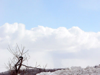f:id:elmikamino:20070224142249j:image