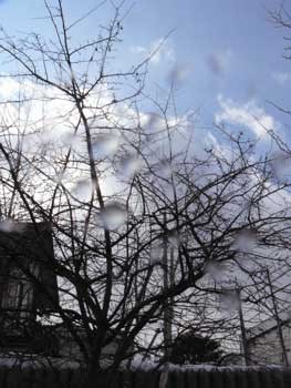 f:id:elmikamino:20070306103121j:image