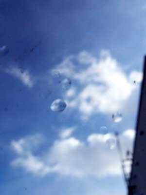 f:id:elmikamino:20070306103149j:image