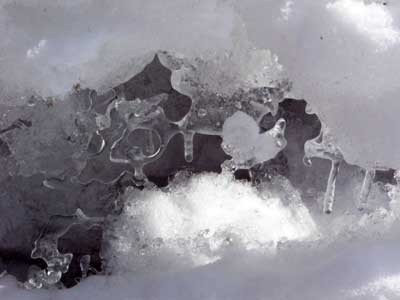 f:id:elmikamino:20070309125522j:image