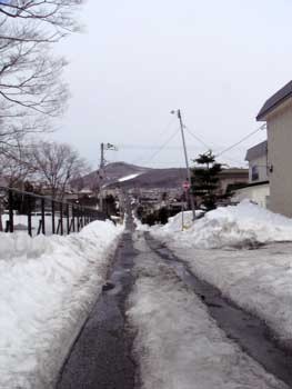 f:id:elmikamino:20070327142025j:image f:id:elmikamino:20070327142025j:image