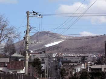 f:id:elmikamino:20070417204617j:image