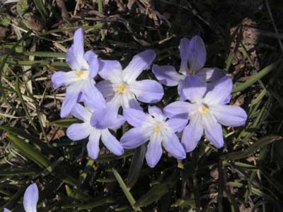f:id:elmikamino:20070424215846j:image f:id:elmikamino:20070424215846j:image