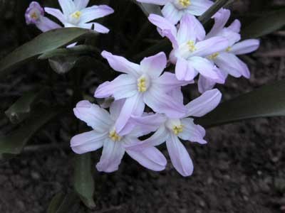 f:id:elmikamino:20070424215918j:image f:id:elmikamino:20070424215918j:image