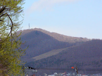 f:id:elmikamino:20070505174113j:image