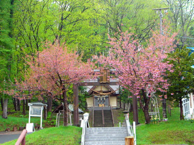 f:id:elmikamino:20070519192950j:image