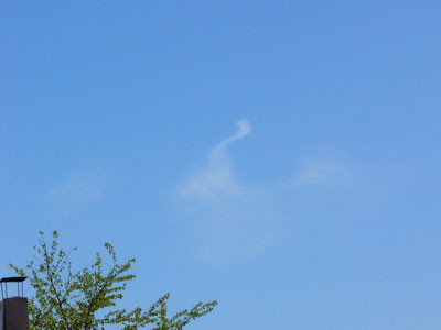 f:id:elmikamino:20070521204450j:image f:id:elmikamino:20070521204450j:image
