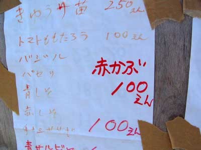 f:id:elmikamino:20070610135743j:image