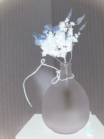 f:id:elmikamino:20070612012357j:image