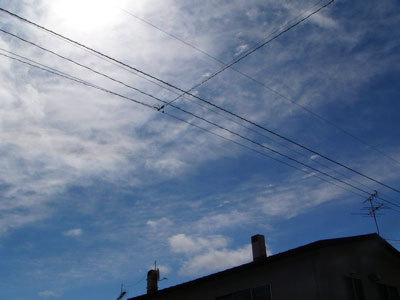 f:id:elmikamino:20070703204330j:image