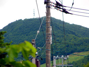 f:id:elmikamino:20070713205250j:image f:id:elmikamino:20070713205250j:image