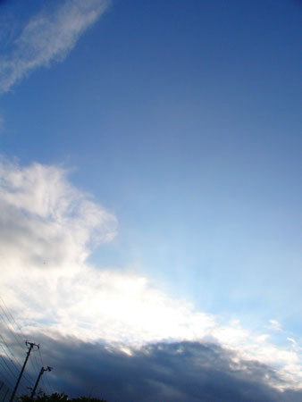 f:id:elmikamino:20070713205555j:image f:id:elmikamino:20070713205555j:image