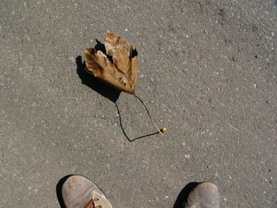 f:id:elmikamino:20070714121715j:image