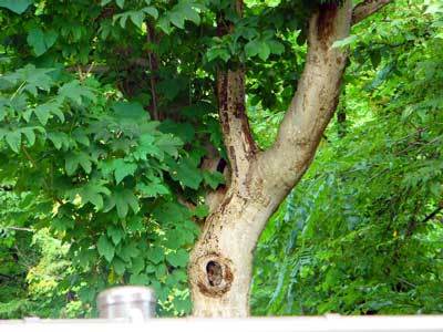 f:id:elmikamino:20070809135247j:image f:id:elmikamino:20070809135247j:image