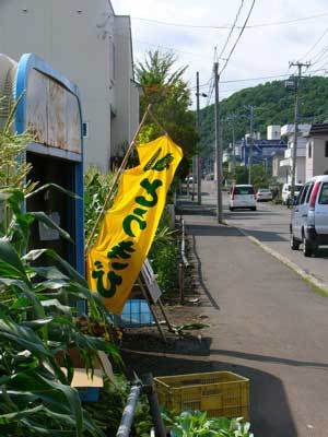 f:id:elmikamino:20070809140112j:image f:id:elmikamino:20070809140112j:image