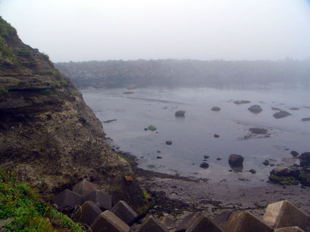 f:id:elmikamino:20070816131142j:image