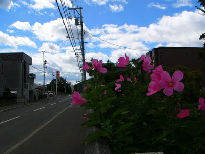 f:id:elmikamino:20070823122329j:image