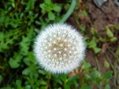 f:id:elmikamino:20070823122421j:image