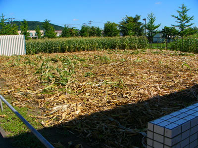 f:id:elmikamino:20070824113348j:image f:id:elmikamino:20070824113348j:image