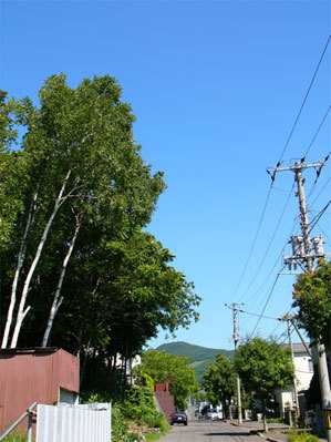 f:id:elmikamino:20070825131030j:image