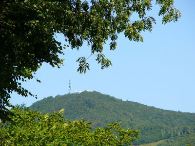 f:id:elmikamino:20070825131136j:image