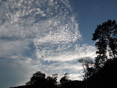 f:id:elmikamino:20070828012046j:image