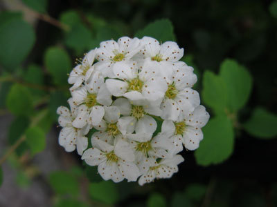 f:id:elmikamino:20070831132927j:image