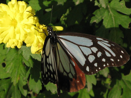 f:id:elmikamino:20071004172437j:image f:id:elmikamino:20071004172437j:image