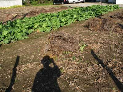 f:id:elmikamino:20071004172805j:image f:id:elmikamino:20071004172805j:image