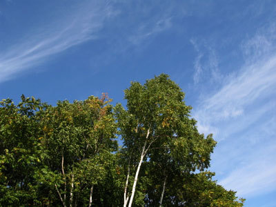 f:id:elmikamino:20071007130738j:image