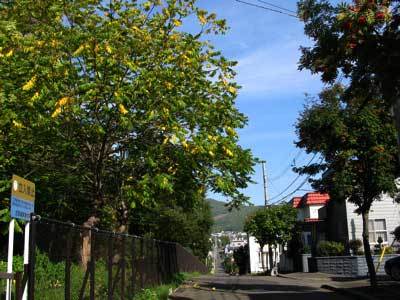 f:id:elmikamino:20071007130848j:image